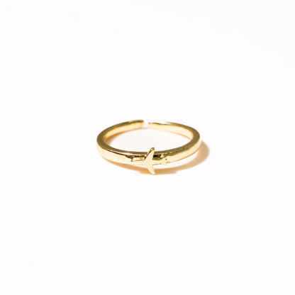 Anillo Ribeiro