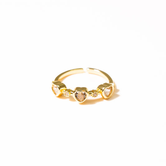 Anillo Envol