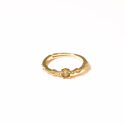 Anillo Authenticité - Agosto 18