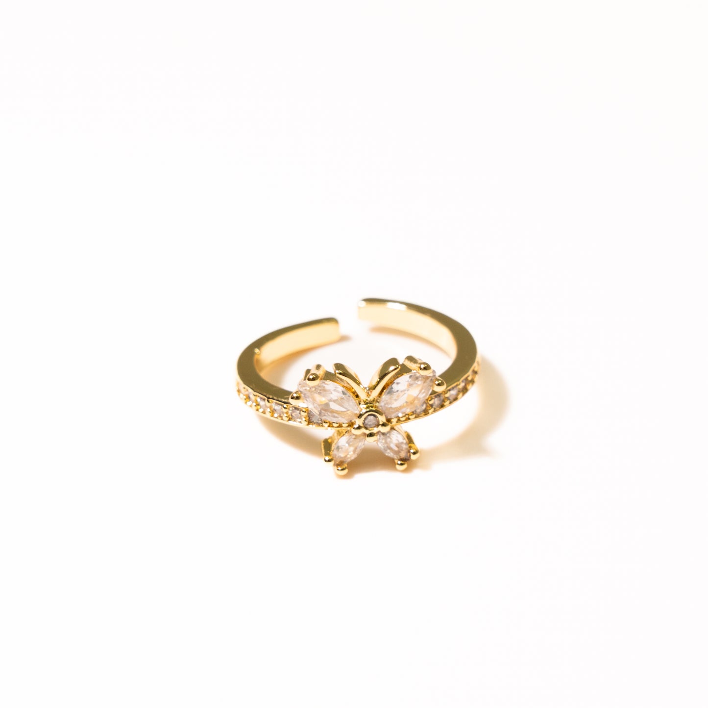 Anillo Paz