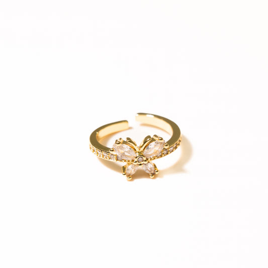 Anillo Paz