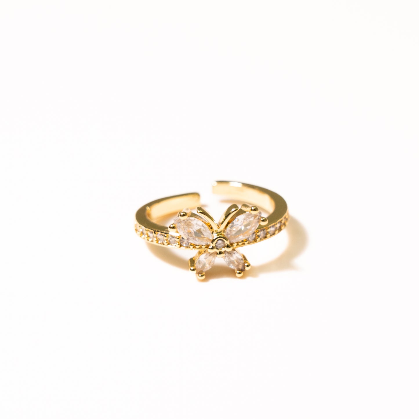 Anillo Paz