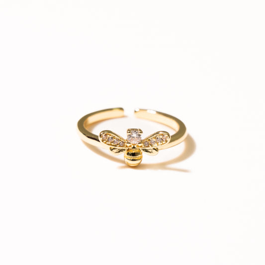 Anillo Ravissement