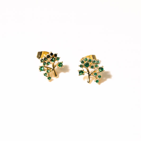 Aretes Ruta