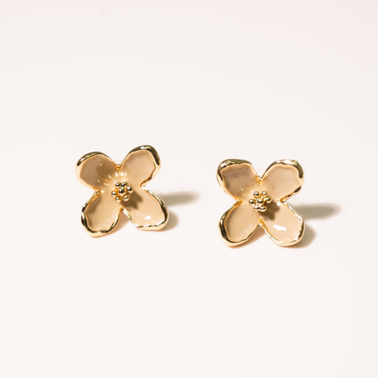 Aretes Refugio