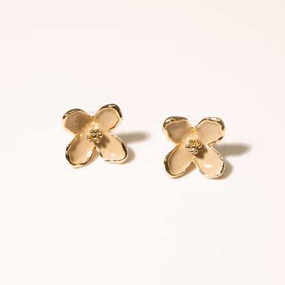 Aretes Refugio