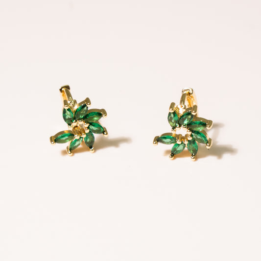 Aretes Aliso
