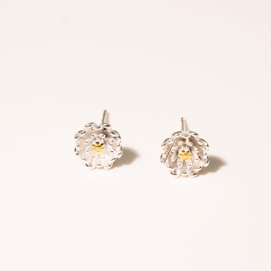 Aretes Aliento