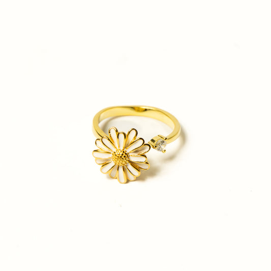 Anillo Plata S925 Antiestrés Arelis