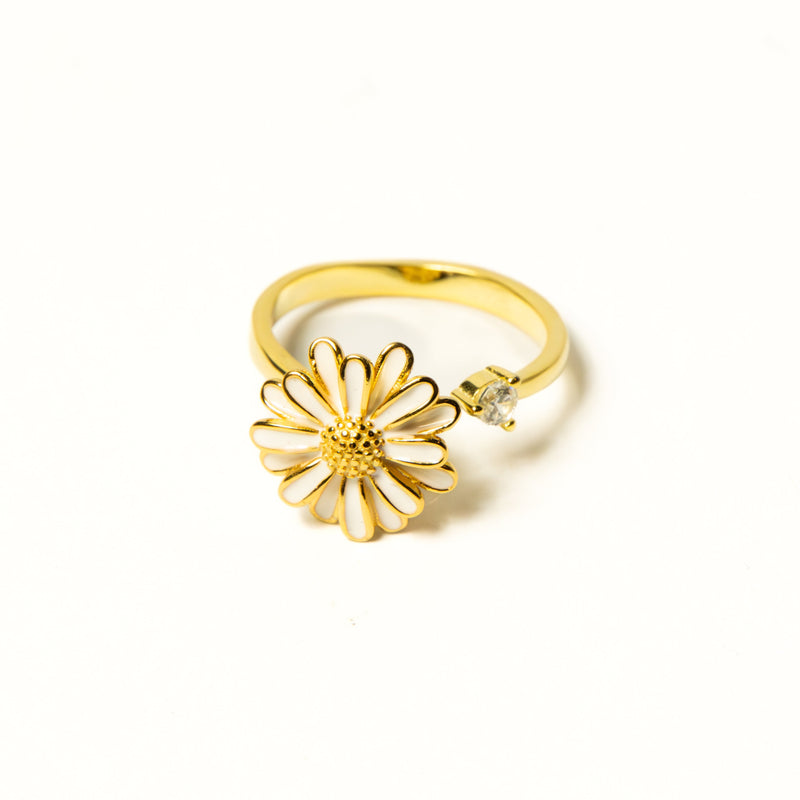 Anillo Plata S925 Antiestrés Arelis