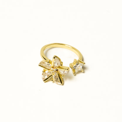 Anillo Giratorio Molino - Agosto 18