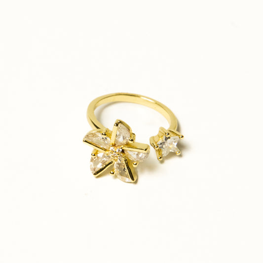 Anillo Giratorio Molino - Agosto 18