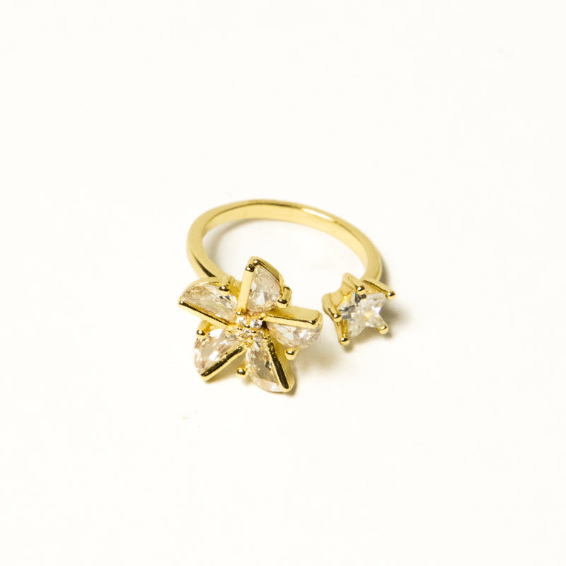 Anillo Giratorio Molino - Agosto 18