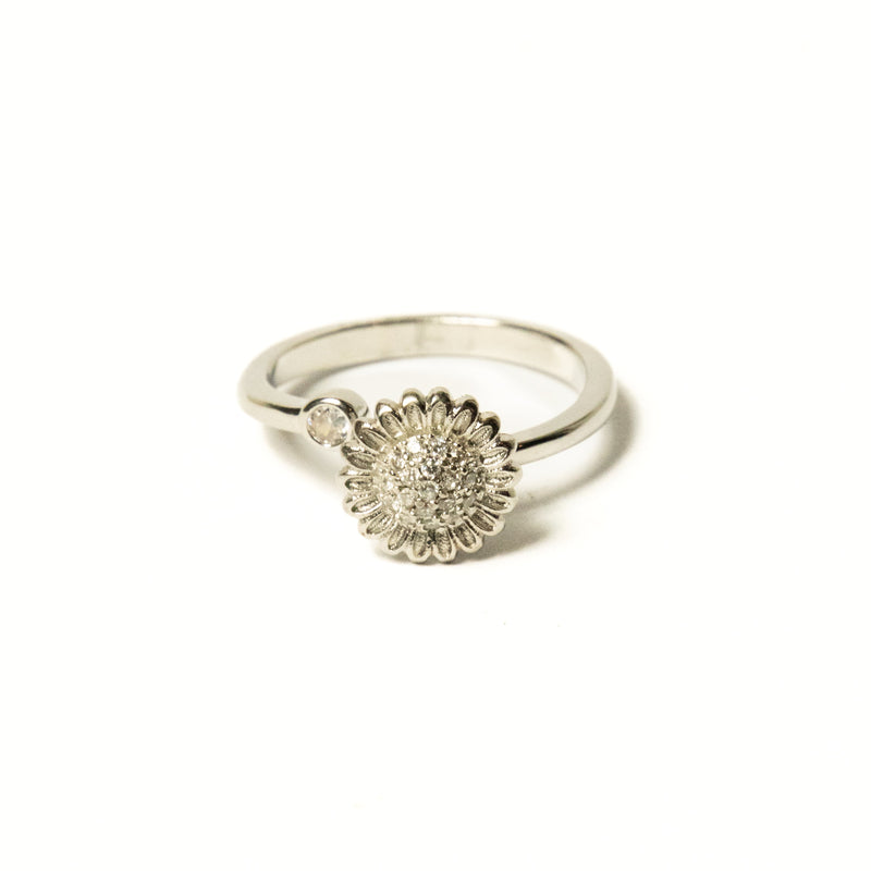 Anillo Giratorio Margarita - Agosto 18