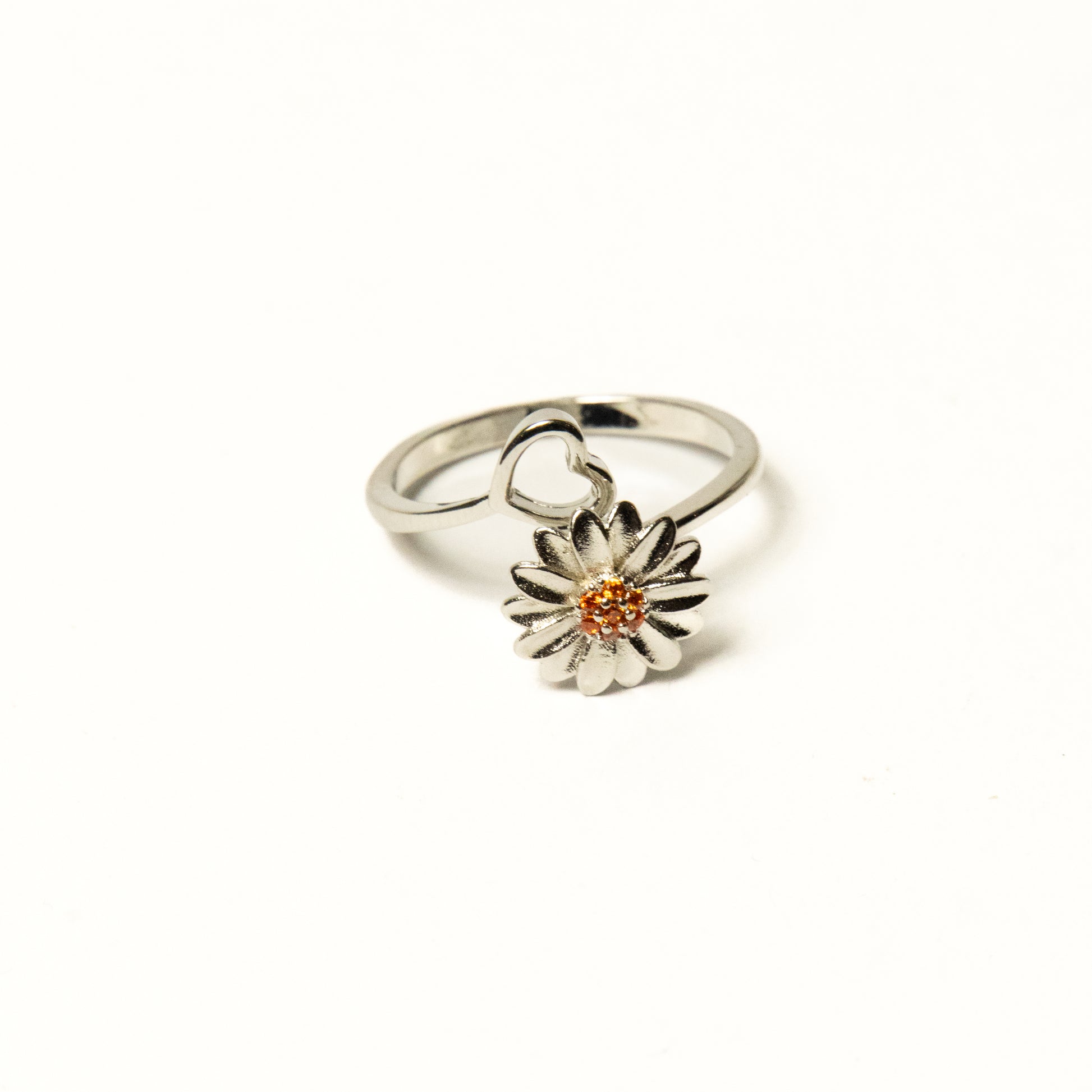 Anillo Nolien - Agosto 18