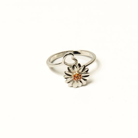 Anillo Nolien - Agosto 18