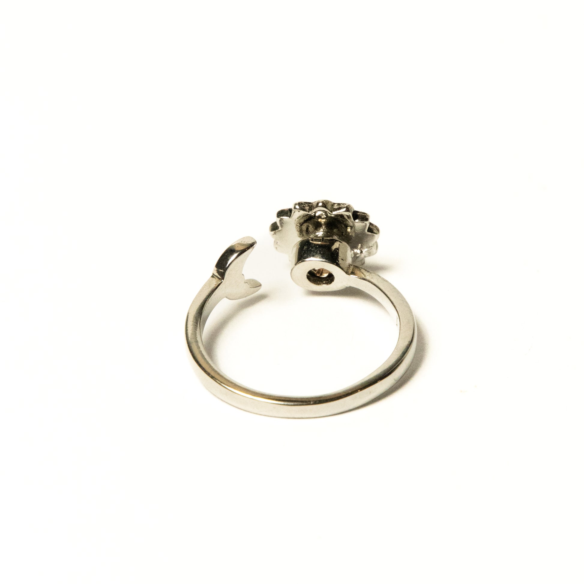 Anillo Giratorio y Grabado SolLuna - Agosto 18