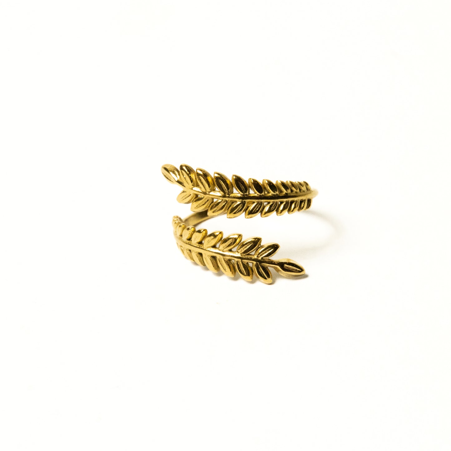 Anillo Wynna - Agosto 18