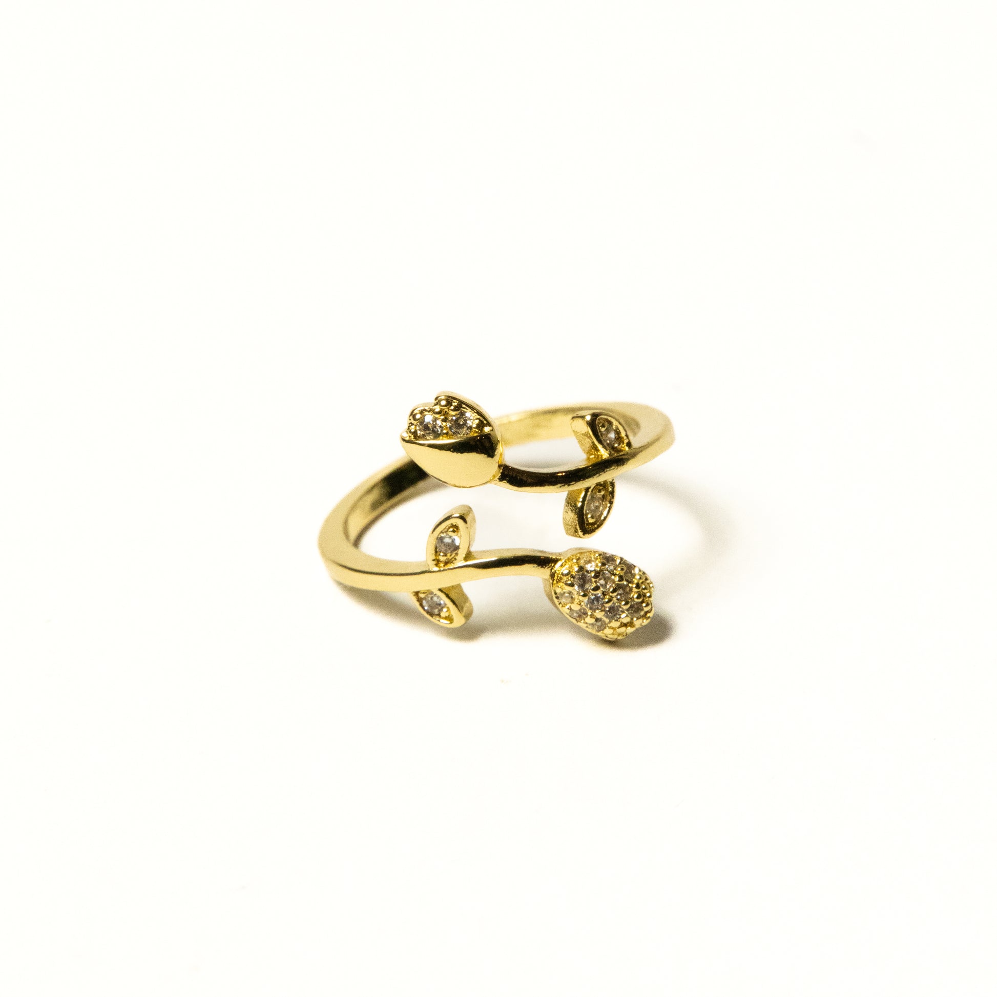 Anillo Rosas - Agosto 18