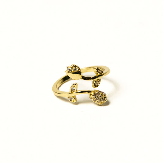 Anillo Rosas - Agosto 18
