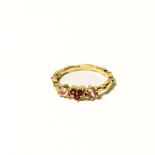 Anillo Velora - Agosto 18