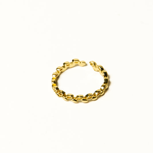Anillo Jasira - Agosto 18