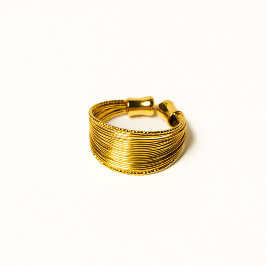 Anillo Fenora - Agosto 18