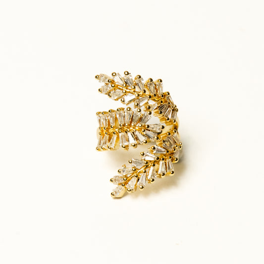 Anillo Soreli - Agosto 18
