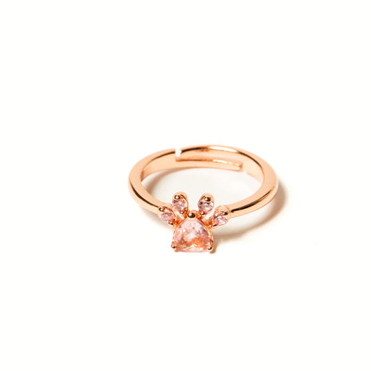 Anillo Plata S925 Radiante - Agosto 18
