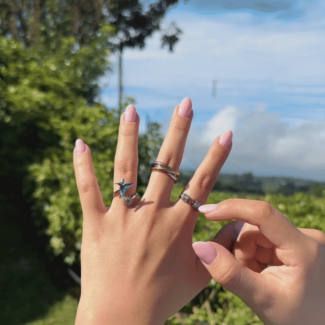 Anillos Giratorios Anti Estres Agosto 18