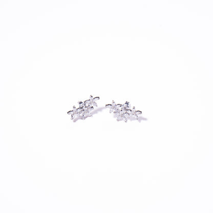 Aretes Trémulo