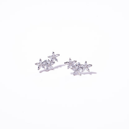 Aretes Trémulo