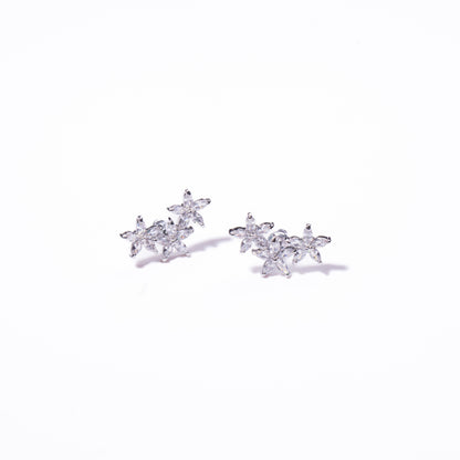 Aretes Trémulo