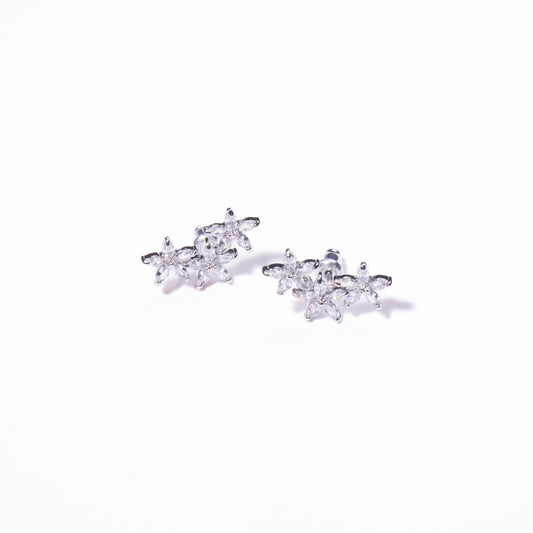 Aretes Trémulo
