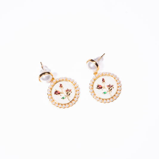 Aretes Evanescente