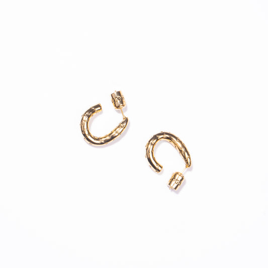 Aretes Shimmer