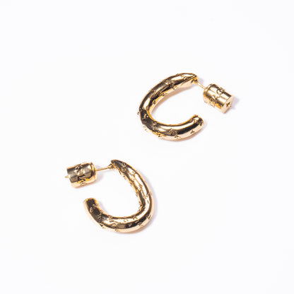 Aretes Shimmer
