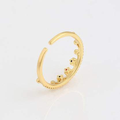 Anillo Xenya