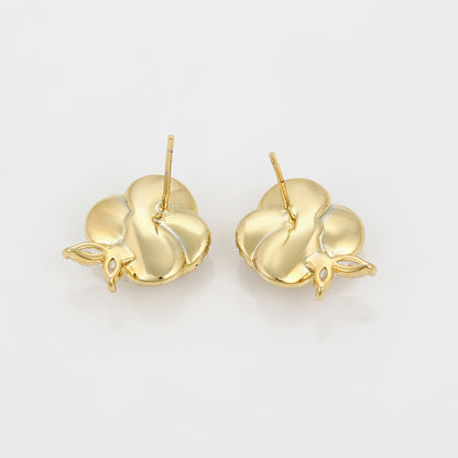 Aretes Naara