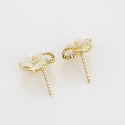 Aretes Naara