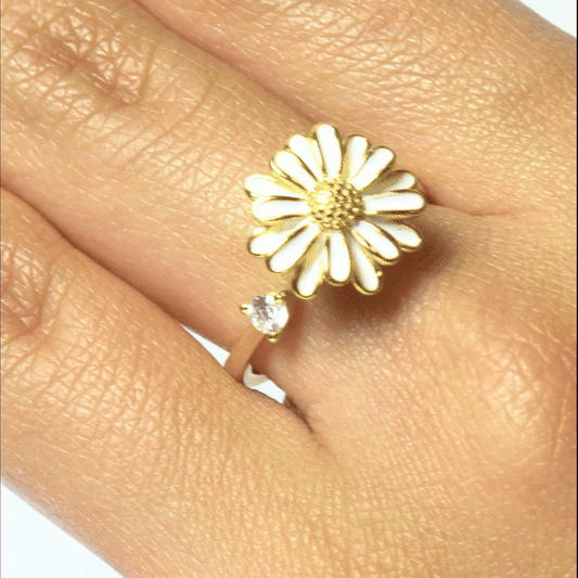 Anillo Plata S925 Antiestrés Arelis