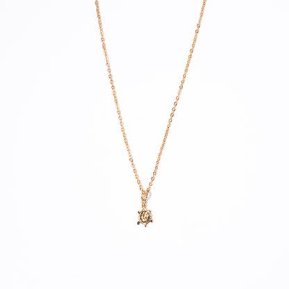 Collar Tortuga