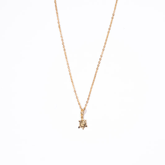 Collar Tortuga