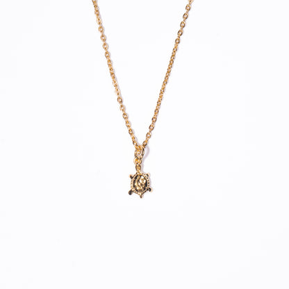 Collar Tortuga