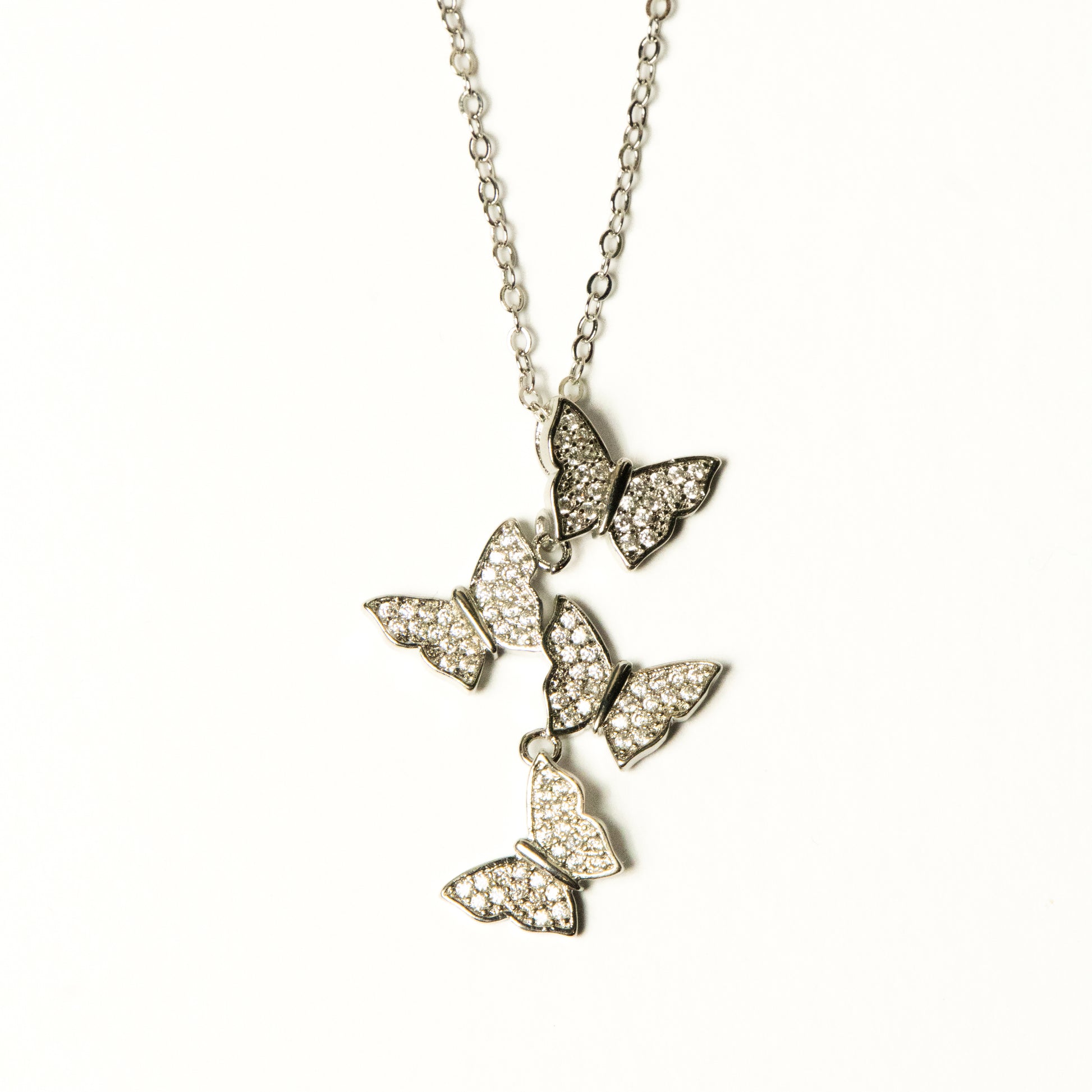 Collar Lyari - Agosto 18