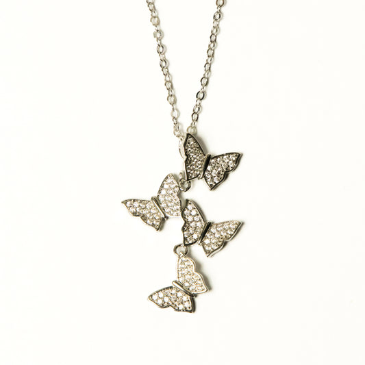 Collar Lyari - Agosto 18