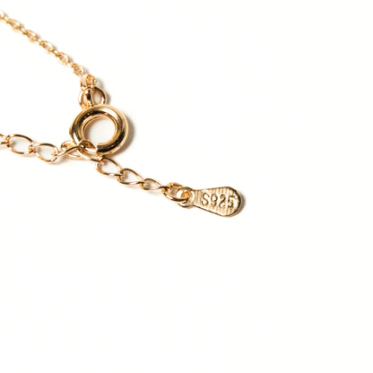 Collar Plata S925 Elina - Agosto 18