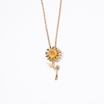 Collar Anti Estrés Aster