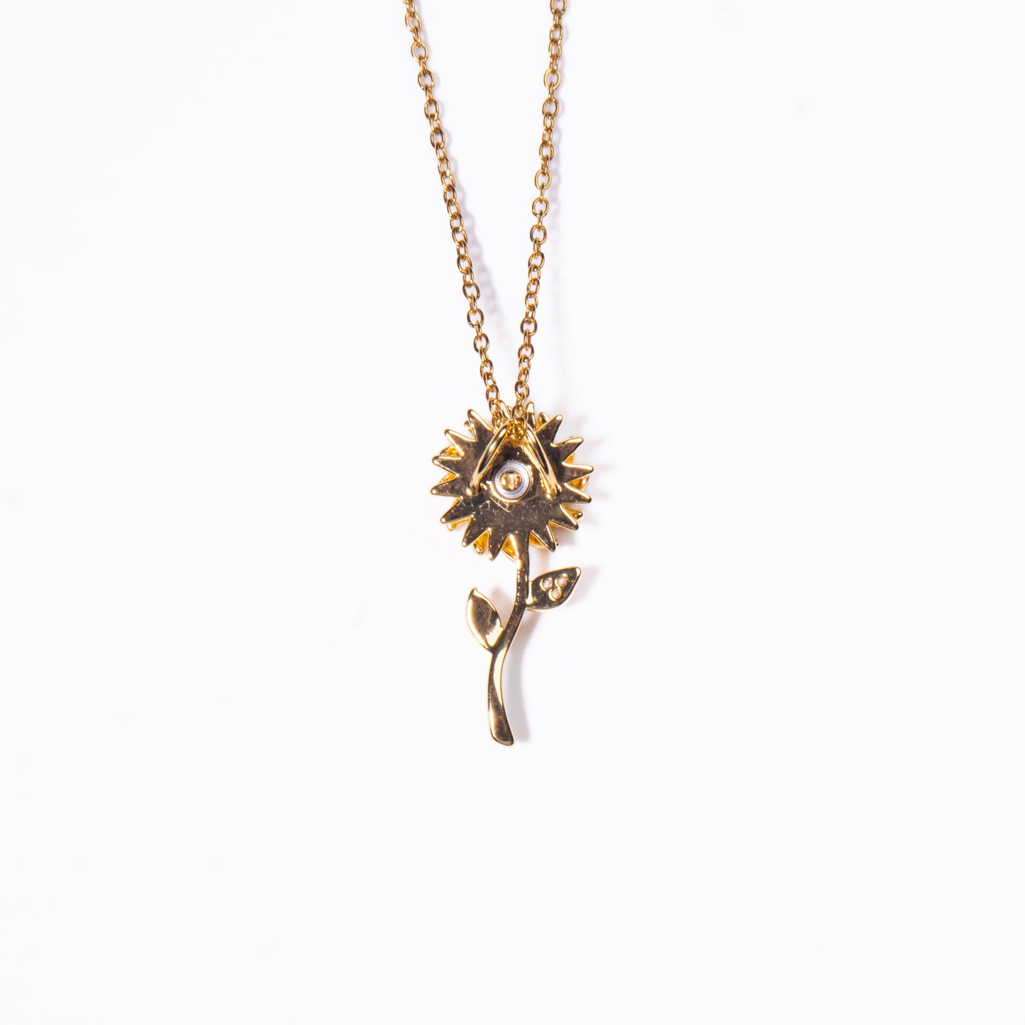 Collar Anti Estrés Aster
