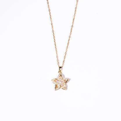 Collar Anti Estrés Estrella